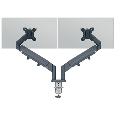 Leitz Monitorarm Ergo 65370089 Dual gr