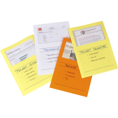 ELCO Sichtmappe Ordo classico 29489.31 A4 blau 100 St./Pack.