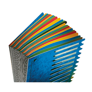 Leitz Ordnungsmappe Deskorganizer Color 59140035 24Fächer blau