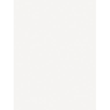 Legamaster Flipchartfolie Magic Chart 7-159400 60x80cm 25Bl.