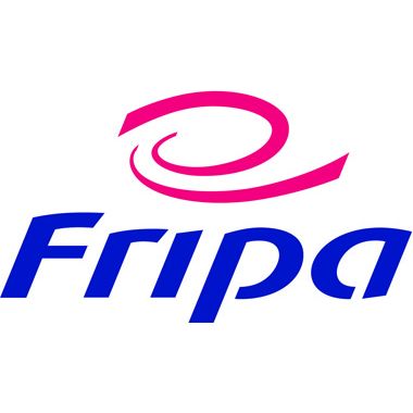Fripa Papierhandtuch IDEAL 4131102 25x33cm 20x180Bl.