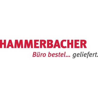 Hammerbacher Regal FlexWall Türen 2OH Sockel weiß/asteiche
