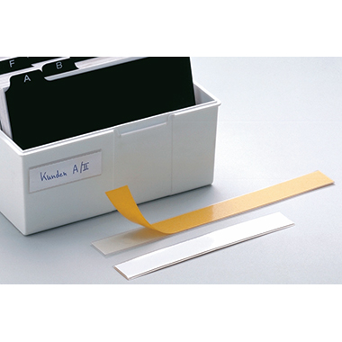 DURABLE Schilderrahmen SCHILDFIX 801519 20x1,5cm PVC tr 10 St./Pack.