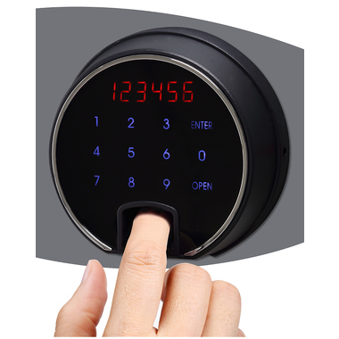 Phoenix Datenschutztresor Data Combi DS2501F Fingerabdruckschloss