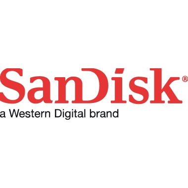 SanDisk Speicherkarte Ultra SDXC 128GB SDSDUNB-128G-GN6