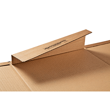 ColomPac Ordnerversandkarton CP055.01 290x320x35-80mm braun