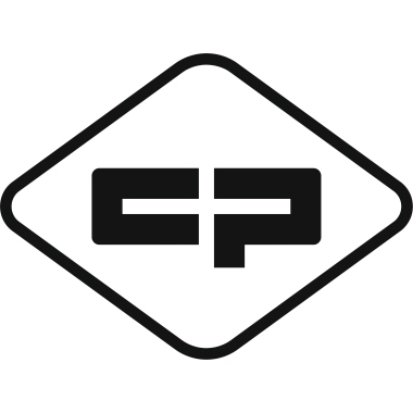 C+P Feuerschutzschrank Certos 118000S10049 1950x1200x500mm sgr