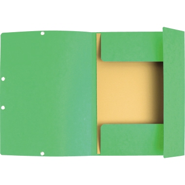 Exacompta Eckspanner Nature Future 55513E DIN A4 400g Karton hellgrün