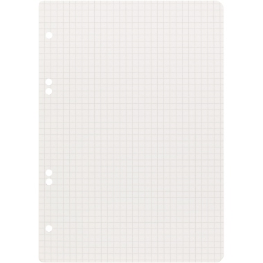 Landré Ringbucheinlage 100050496 DIN A5 kariert weiß 50 Bl./Pack.